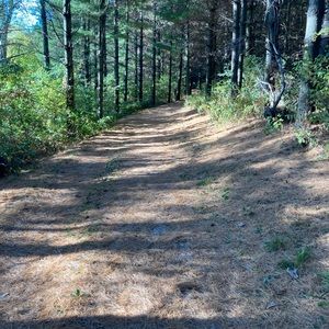 Meet your Posher, Dan